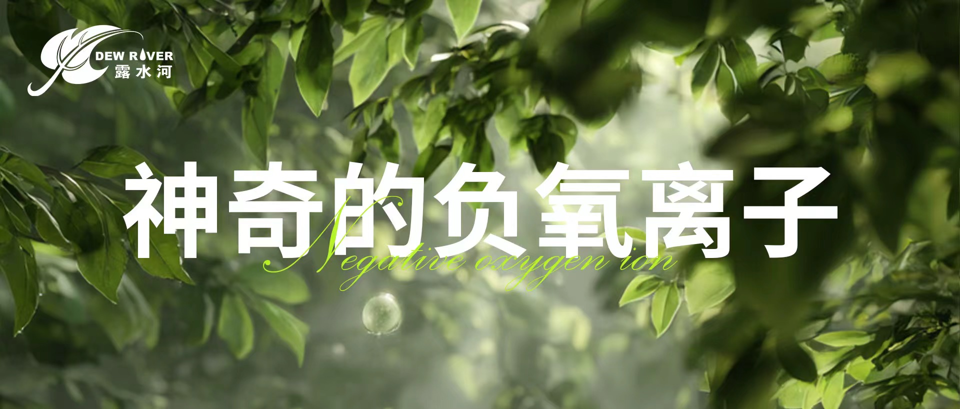 露水河 | 神奇的負(fù)氧離子
